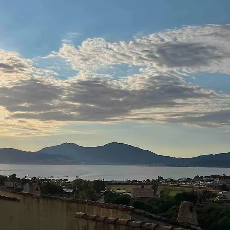 Daire 2 Pieces Avec Vue Sur A En Corse Du Sud