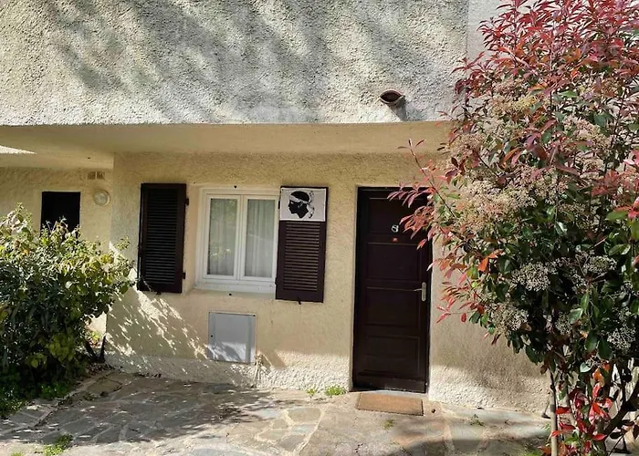 2 Pieces Avec Vue Sur A En Corse Du Sud